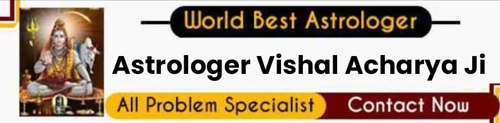 Astrologer Vishal Acharya ji +91-7719456795