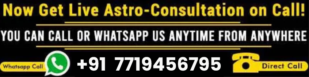 Astrologer Vishal Acharya ji +91-7719456795